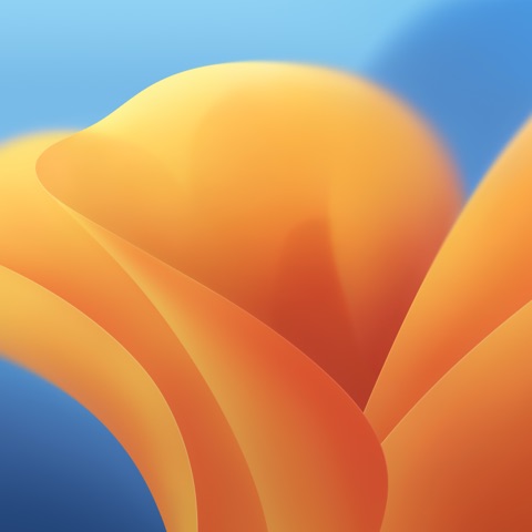 Ventura Light wallpaper background for screenshots